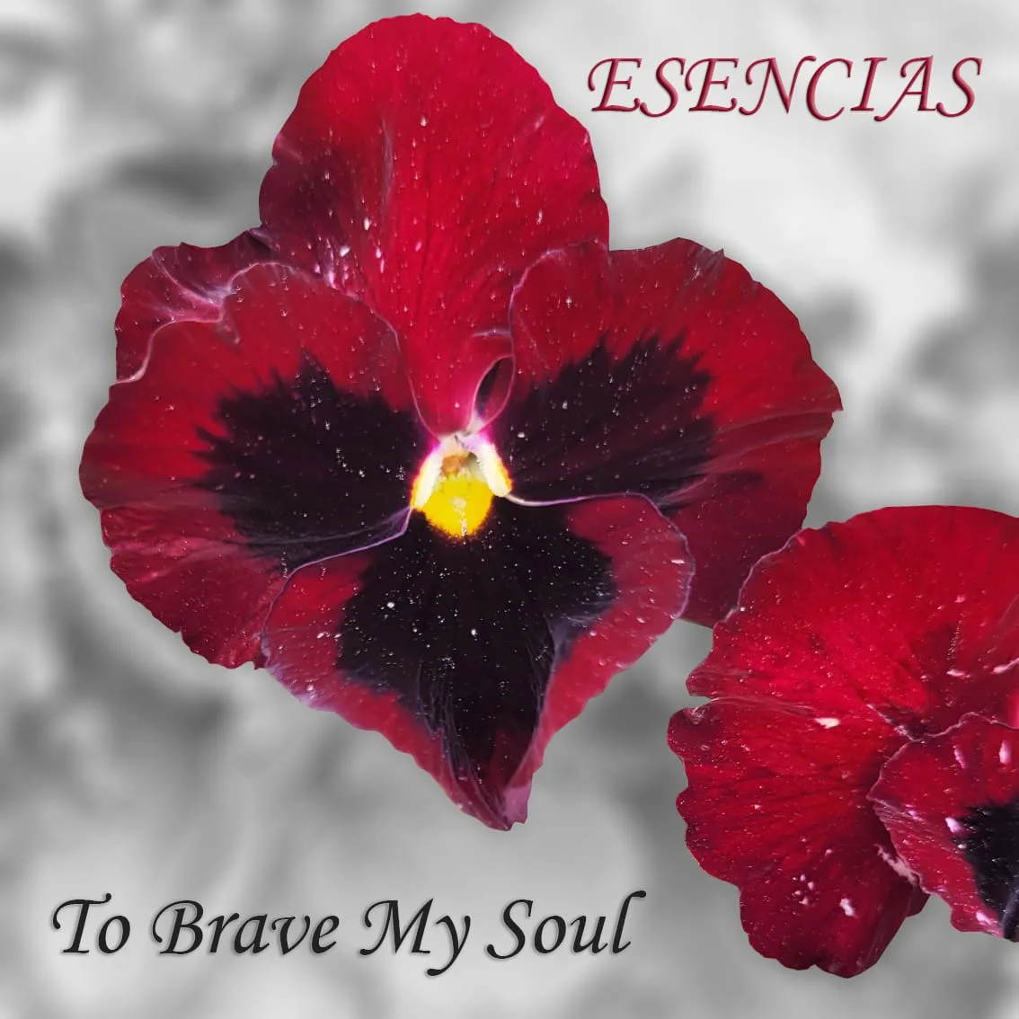 To Brave My Soul presenta Esencias