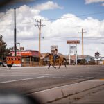 THRASHER, el disco country de Brandon Flowers que no llega a ningún sitio